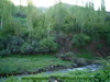 bahar_R_Mudi (8)_resize.JPG